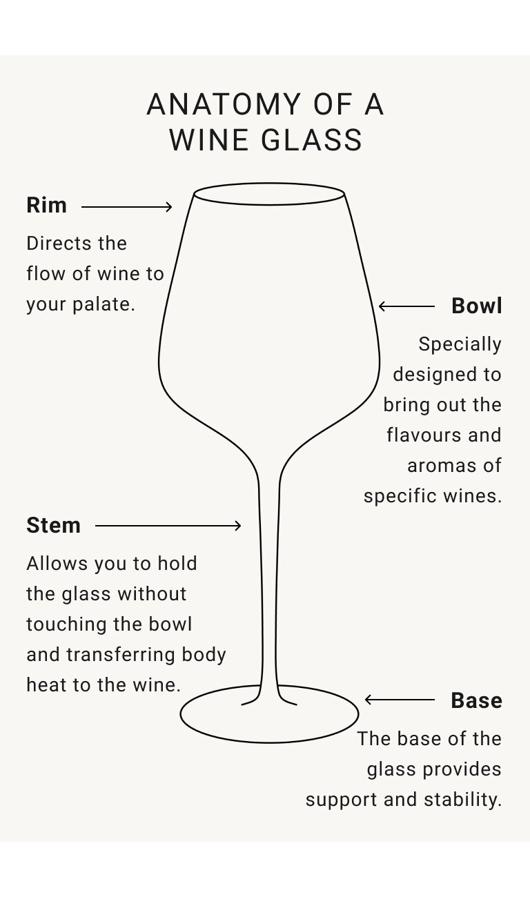 Anatomy of a Wine Glass